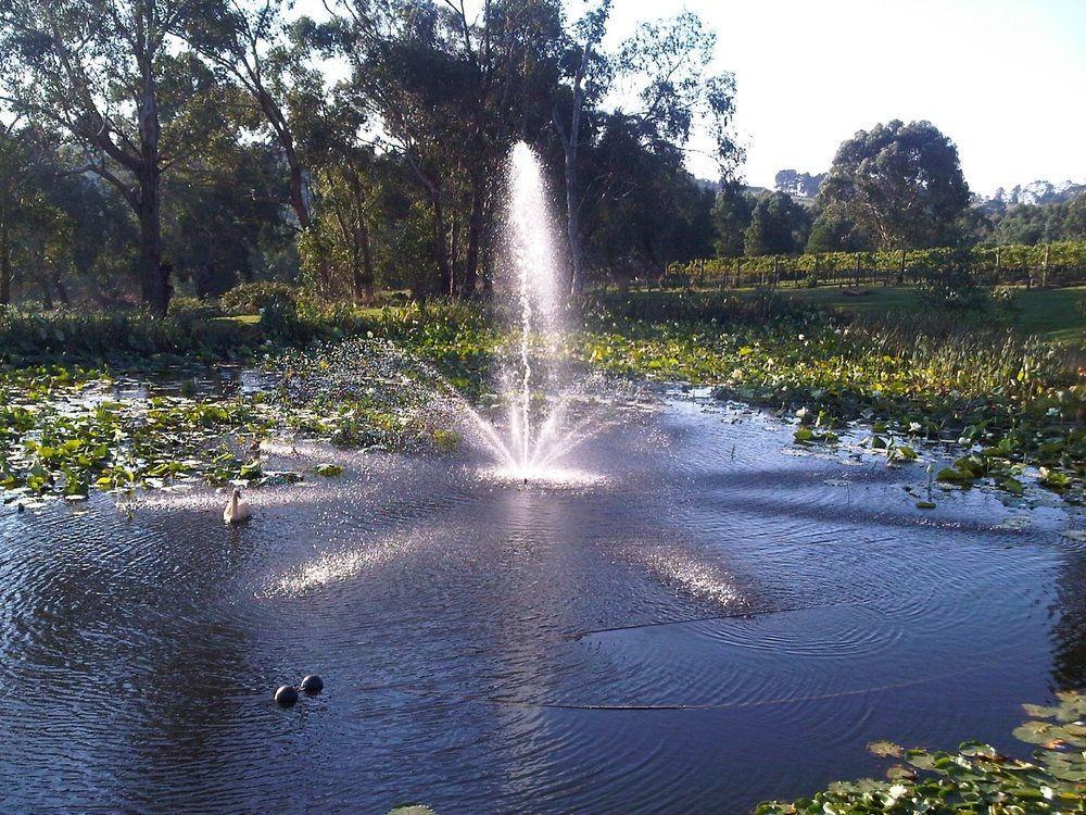 Wild Cattle Creek Estate Bed & Breakfast Wandin Yallock Dış mekan fotoğraf